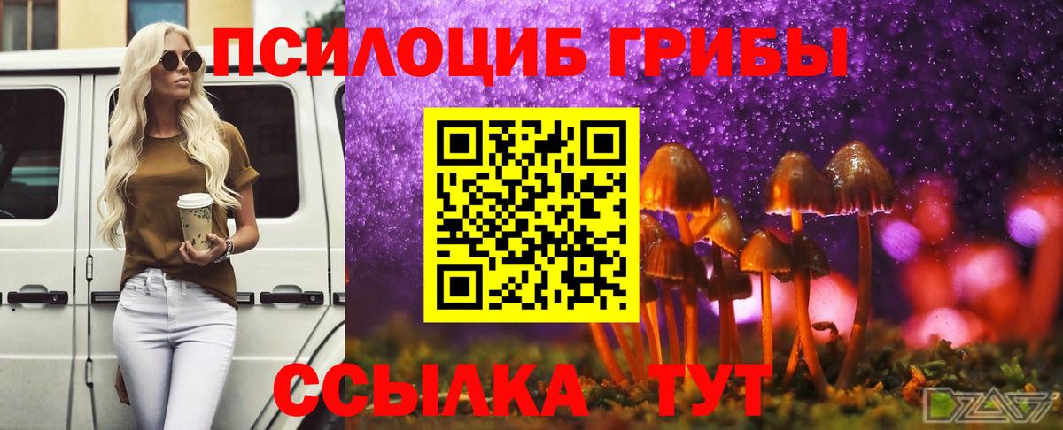 Галлюциногенные грибы Cubensis Лесозаводск